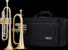 Trompete/Fluegelhorn Set