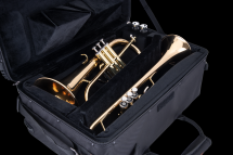 Trompete/Fluegelhorn Set